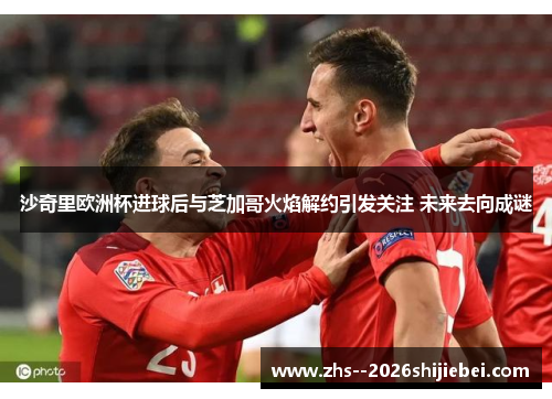 沙奇里欧洲杯进球后与芝加哥火焰解约引发关注 未来去向成谜